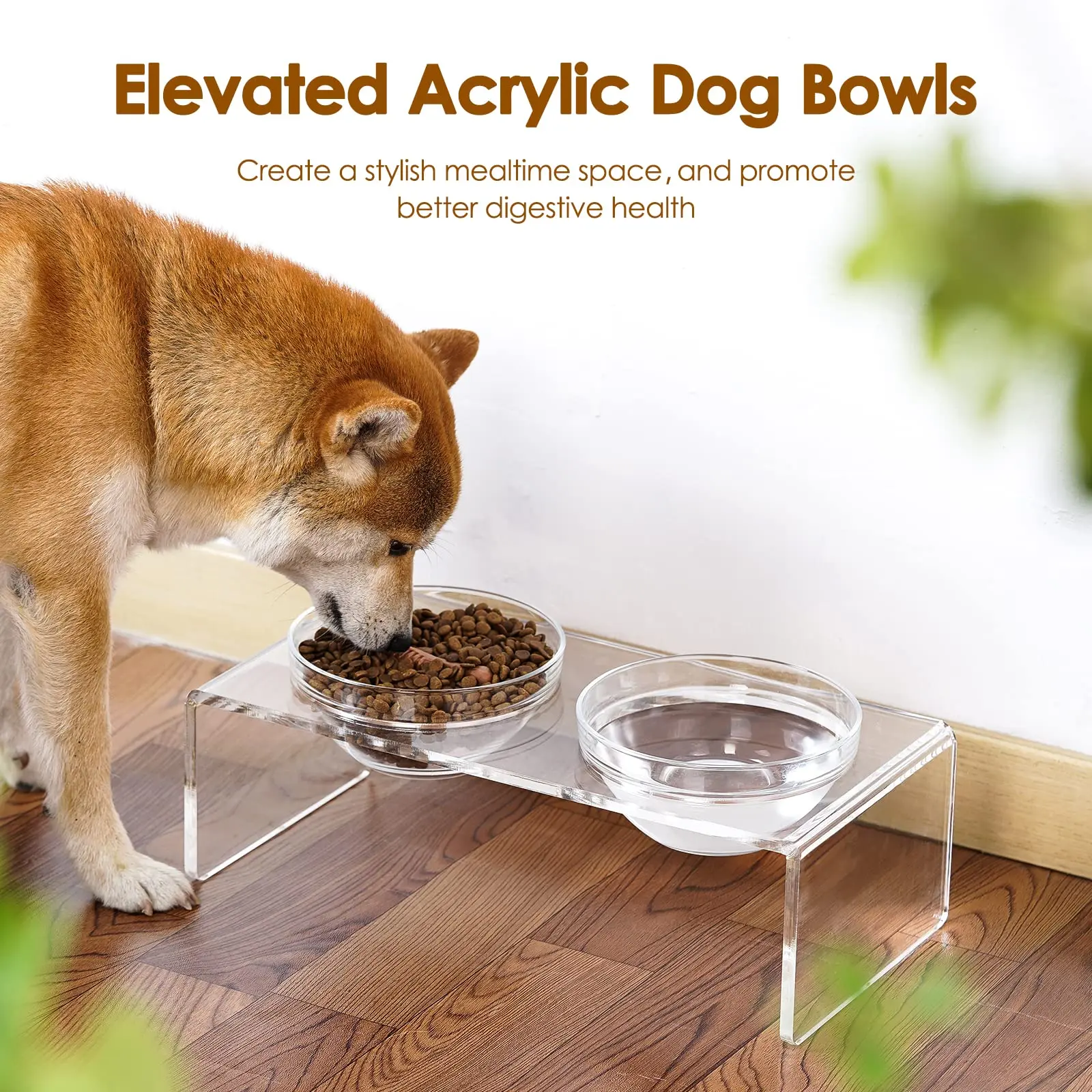 Dog and Cat Bowls Elevated Set - Acrylic Feeder Stand with 2 Set Removable  Stainless Steel and Glass Bowls Food and Water Raised Dishes for Small