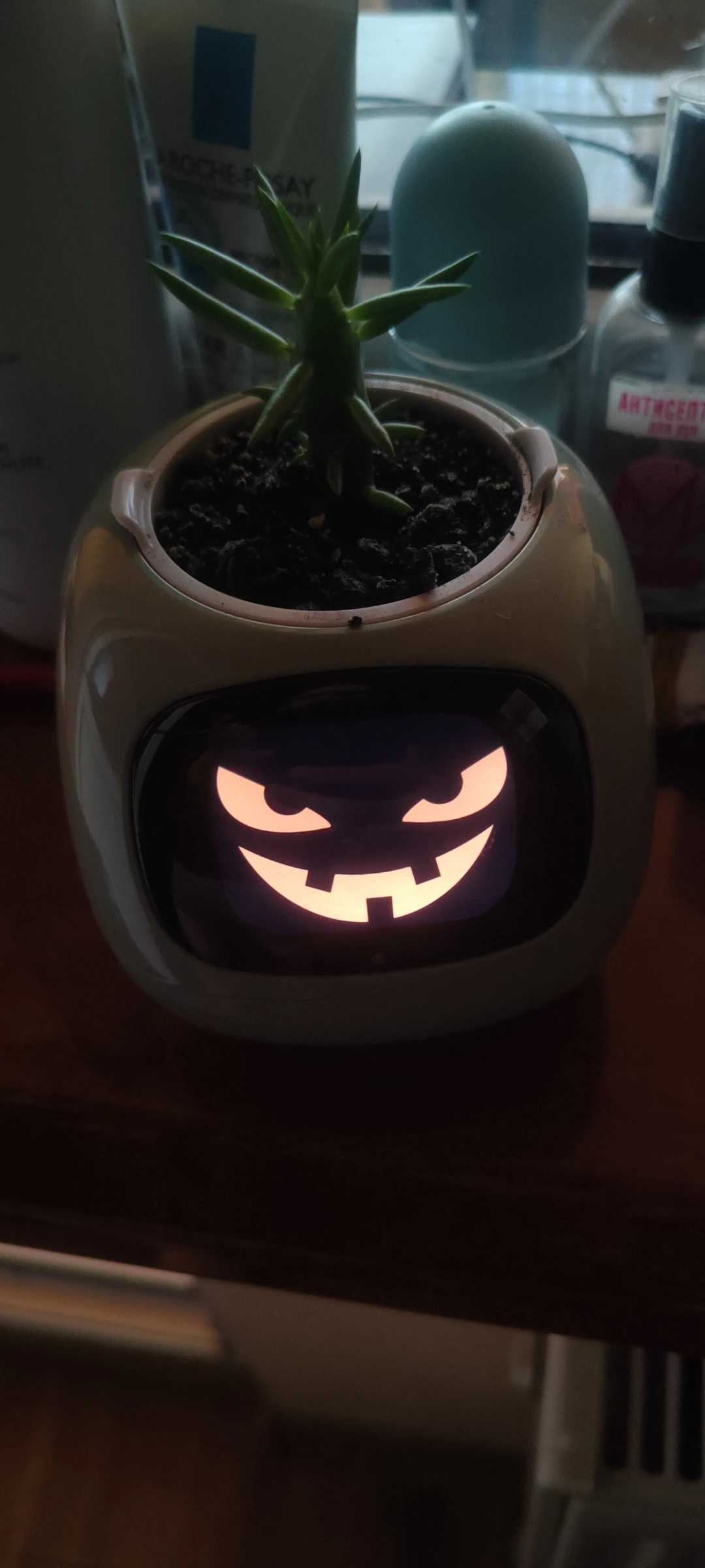 Dein neues intelligentes Pflanzen -Tamagotchi ,,Ivy,, ein smarter Ki gesteuerter Pflanztopf mit Süßen Gesichternein perfektes Geschenk