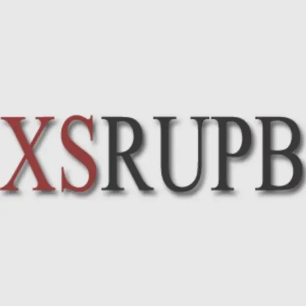 Shenzhen Xinsheng Electronics Co., Ltd.