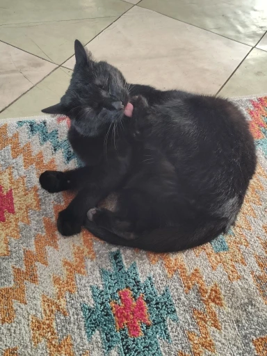 1-30pcs LiitoKala LII-70S 26650 3.7V 7000mA 35A power Rechargeable lithium battery 26650 Suitable for Flashlight batteries photo review