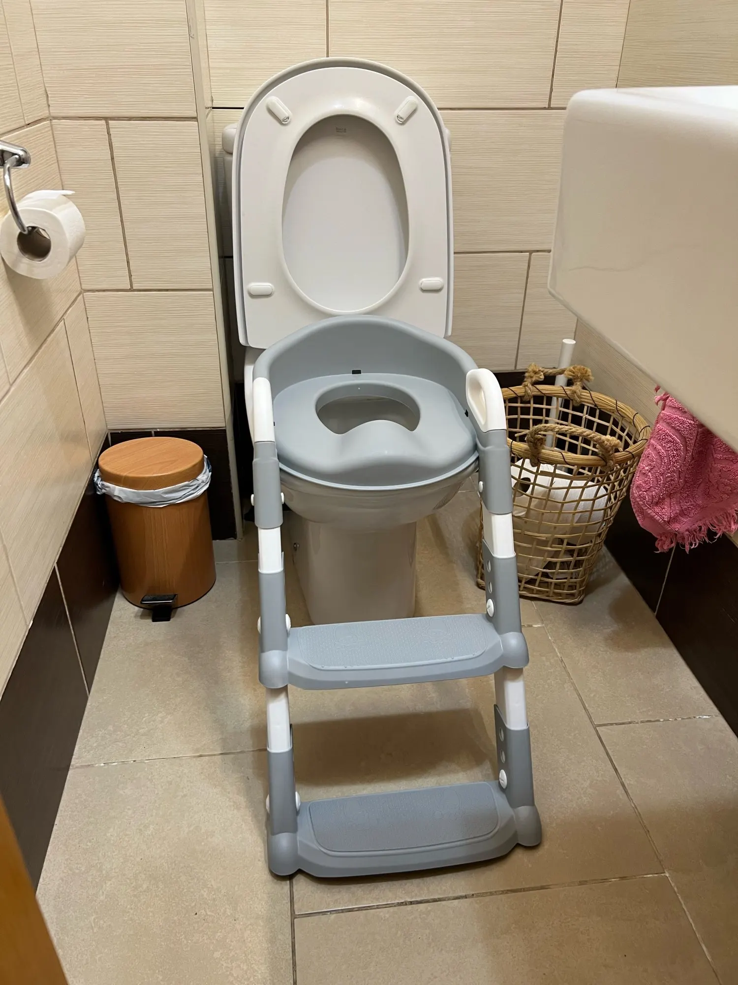 Potty Training Ladder for Toddlers photo review
