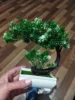 Изображение товара 2