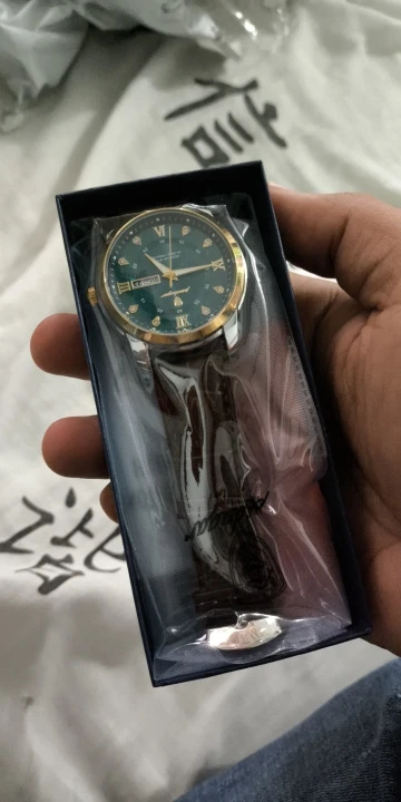 POEDAGAR Luxury Man Wristwatch photo review