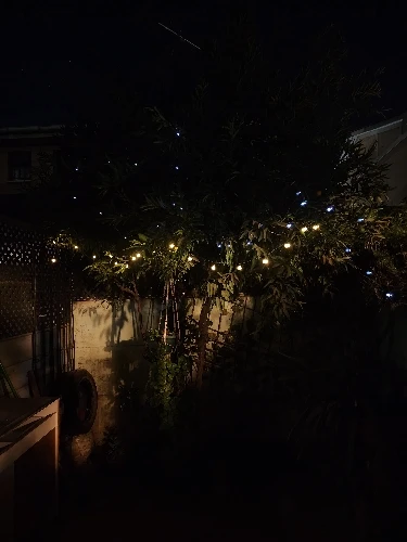 Guirnaldas de luces alimentadas por energía Solar para exteriores, 60 luces de globo de cristal impermeables con 8 modos de luz de jardín para decoración de árboles de fiestas en Patio photo review
