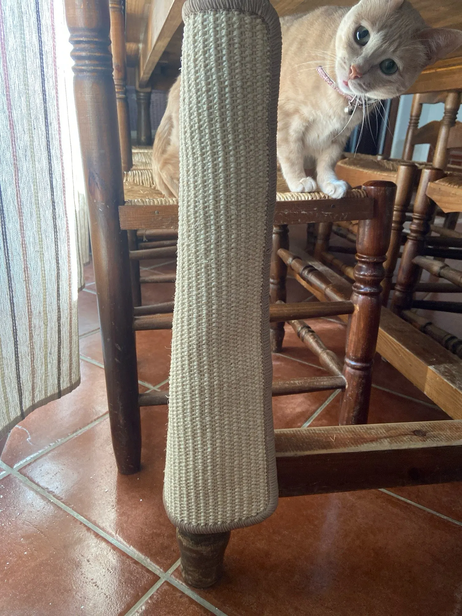 Sofa Saver Cat Scratch Mat photo review