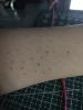 Изображение товара 2