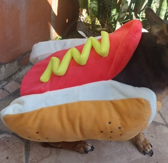 Hot-Dog Howl-oween Costume: Dress up your Pup in Style photo review