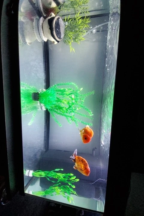 New 37CM artificial underwater plants aquarium fish tank decoration green purple water grass viewing decorations