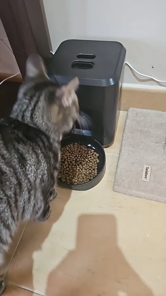 Futterautomat Pro Wireless