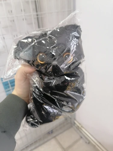 Black Cat Plush Toy, customer photo