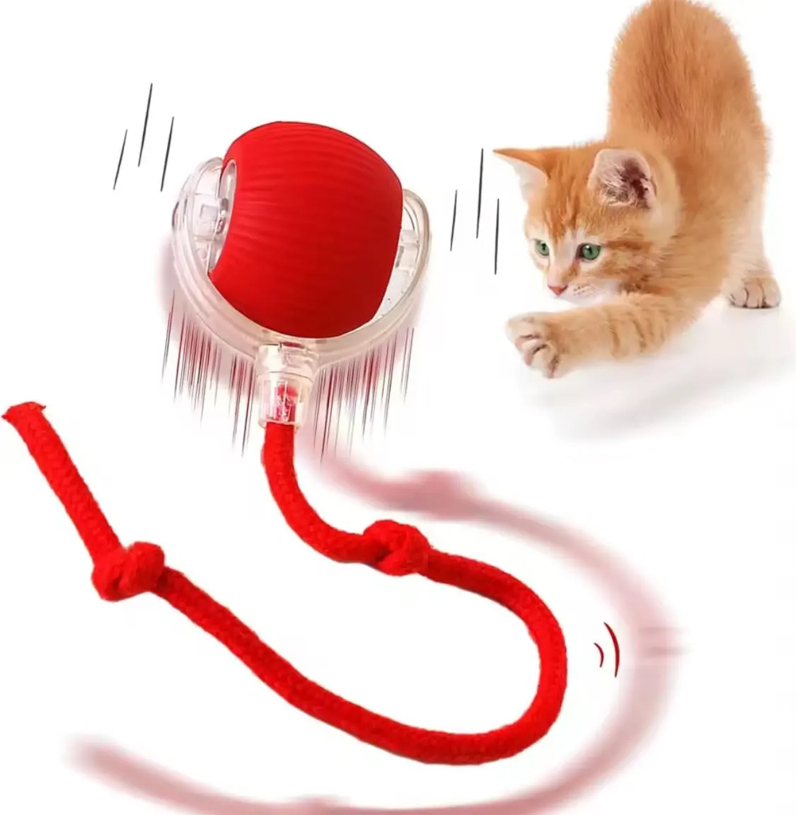 Automatic Rolling Pet Ball photo review