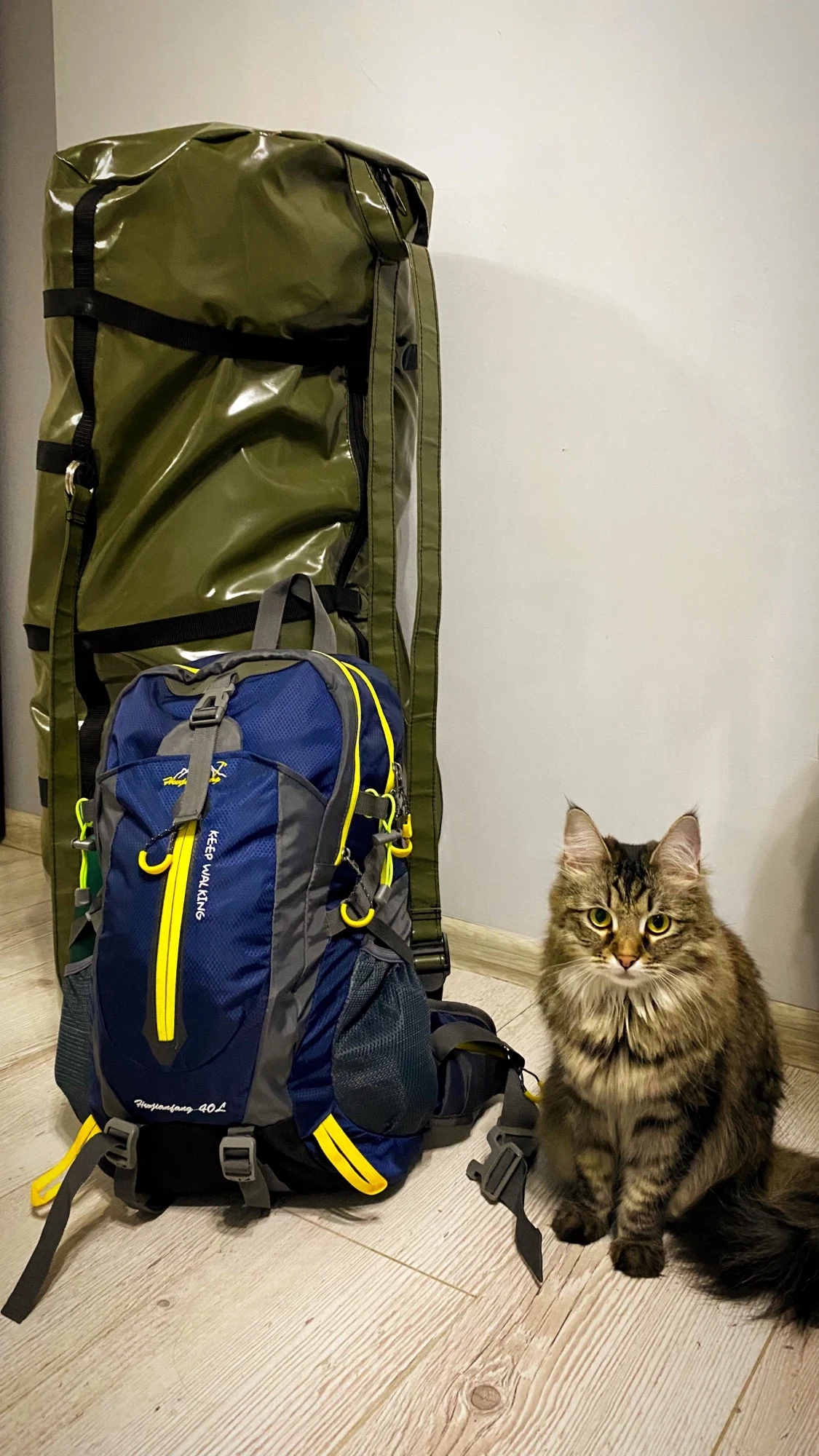 Waterproof Climbing Backpack Rucksack 40L Outdoor Sports Bag Travel Backpack Camping Hiking Backpack Women Trekking Bag For Men photo review