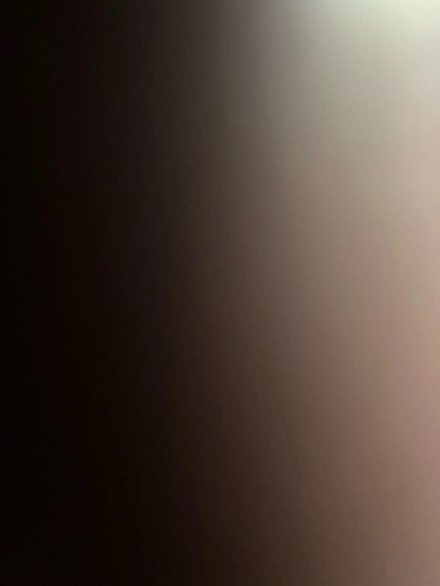 Cute Cartoon Teddy Bear Socks for Women photo review