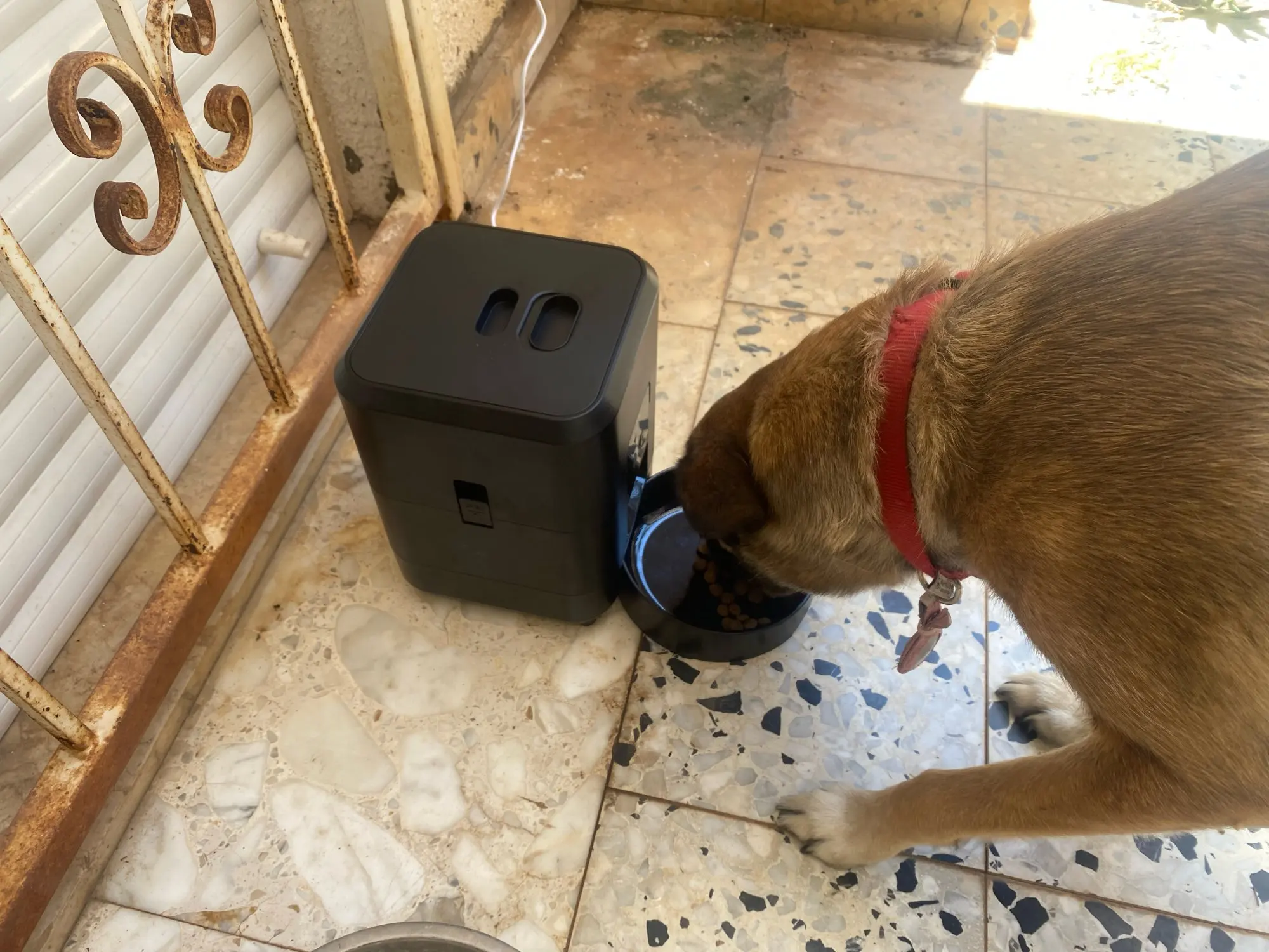 Distributeur Croquettes Automatique | Planificateur repas | Pour Chat & Chien | Alimentation Programmable