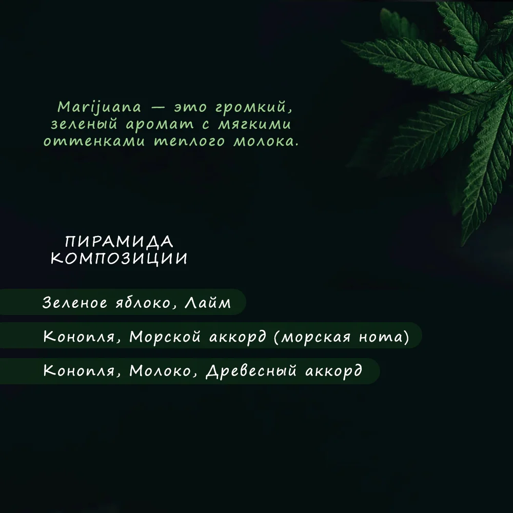 Рисунок 2 - Байредо Марихуанна/ Bayredo Marijuanaa  аромат