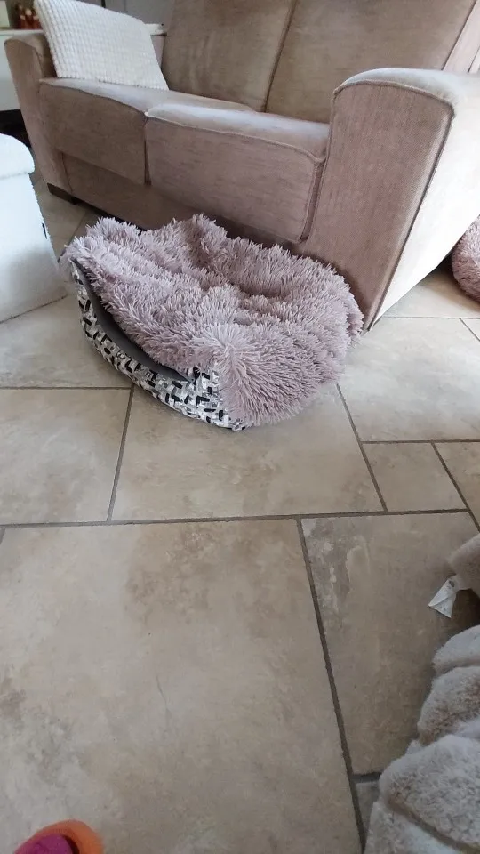 Super Soft Fluffy Pet Blankets photo review