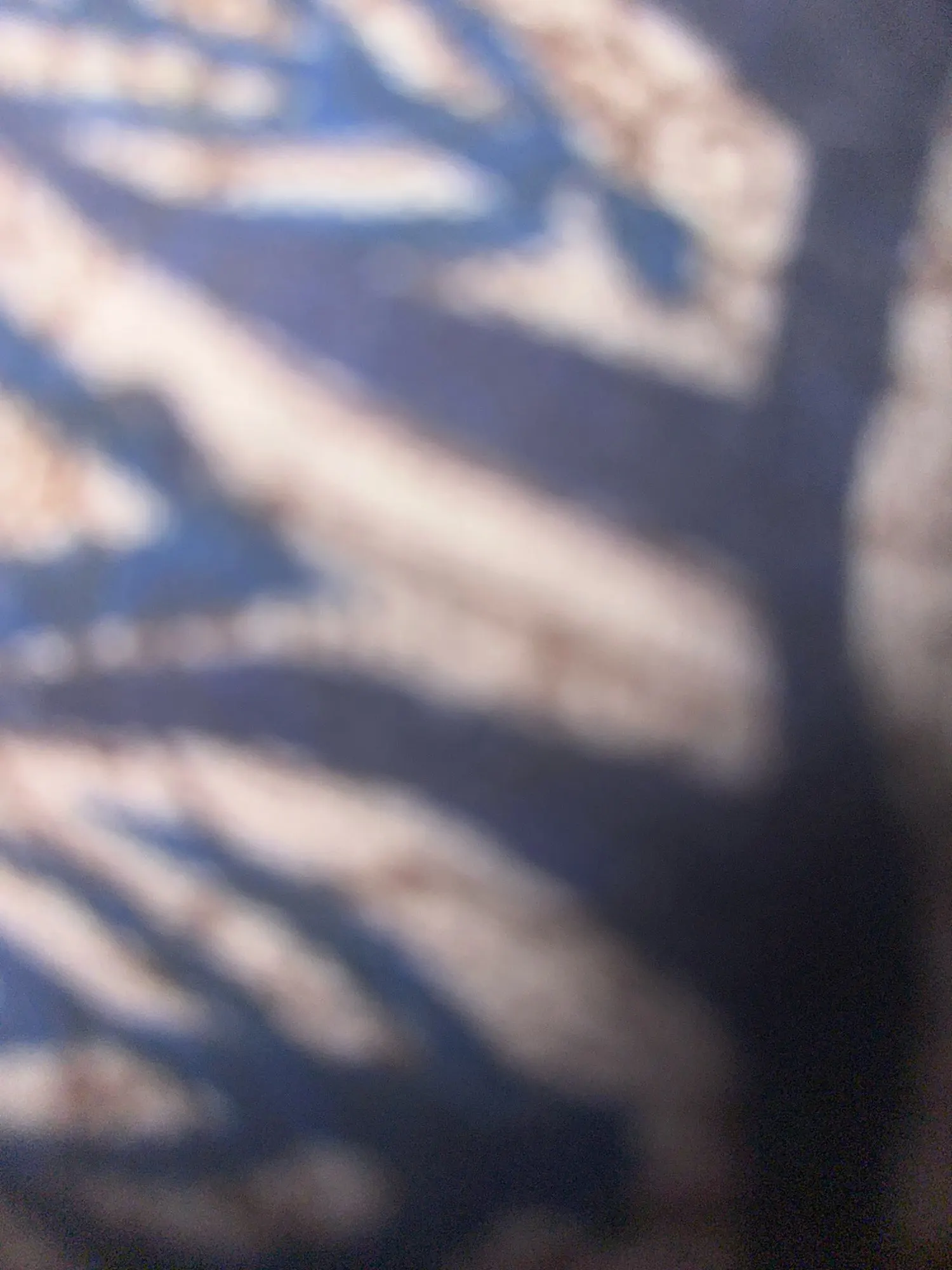 CMF by Nothing Buds 2 Plus Wireless Earbuds photo review