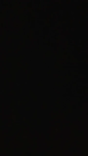 Women's Semi-Sheer Lace Halter Crop Top - Elegant Geometric Contrast Design photo review