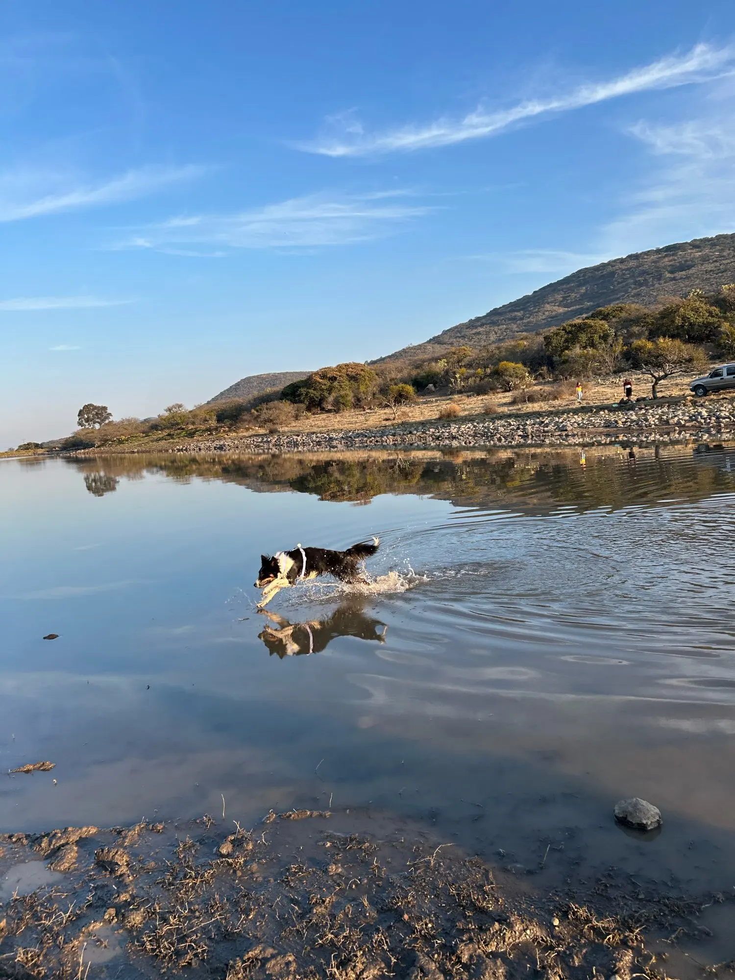 Waterproof Series Dog Collar Leash Harness