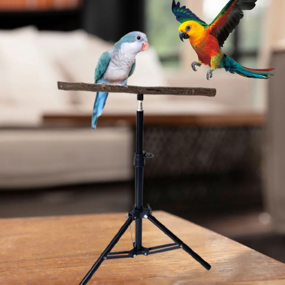 Trípode De Madera Para Loro | Juguete De Mesa Portátil, Color Naranja, Ideal Para Pájaros Medianos Y Grandes