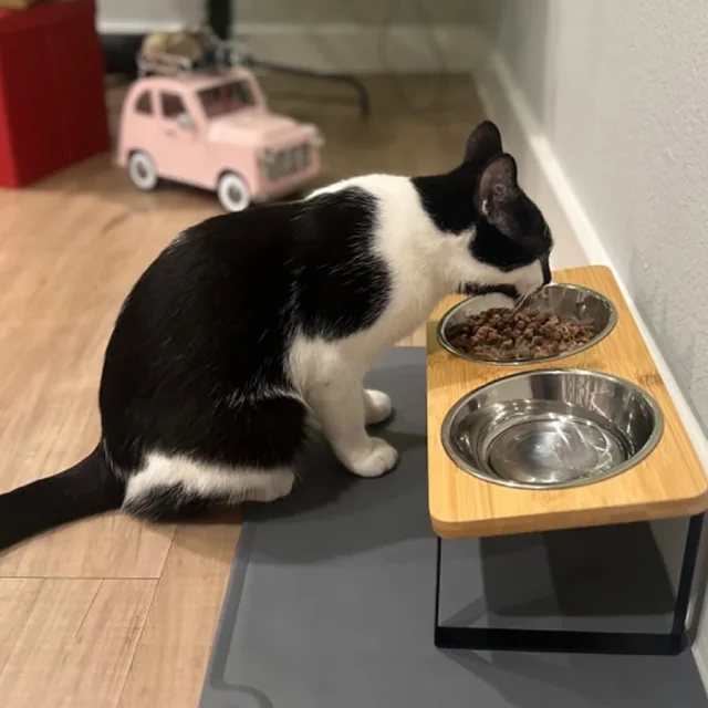 Elevated Tilted Cat Bowls with 2 Stainless Steel Dishes Double Pet Feeder for Cats Kittens Small Dogs Anti-Slip Easy to Clean