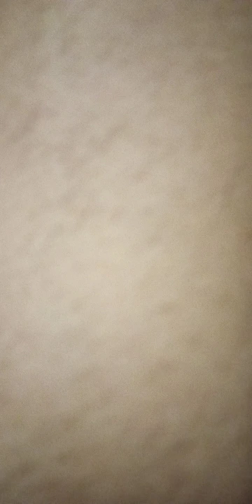 Estufa de Gas para acampar, estufa plegable portátil para mochilero al aire libre, equipo turístico para cocinar, senderismo, Picnic, 3500W photo review