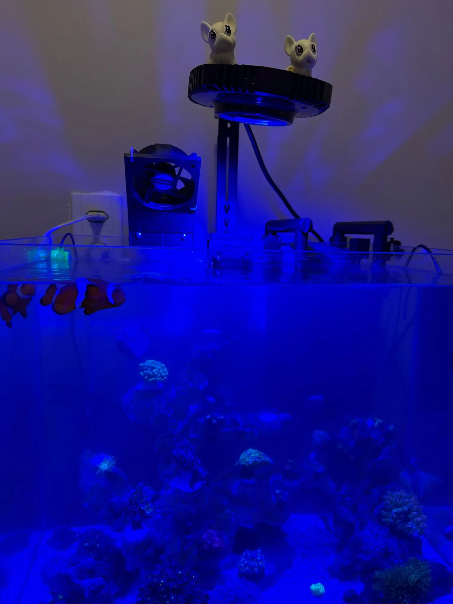 Zetlight X9 96W Aquário Marinho LED Luz para Corais e Peixes de