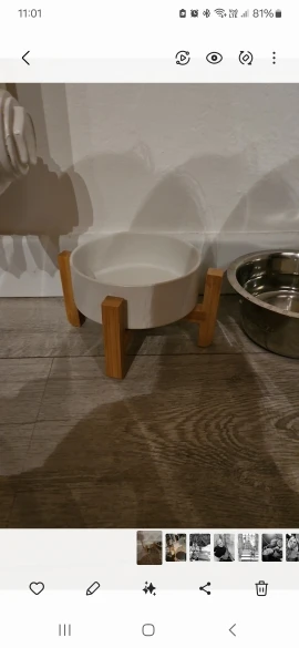 Bandeja Elevado De Cerámica Para Perro