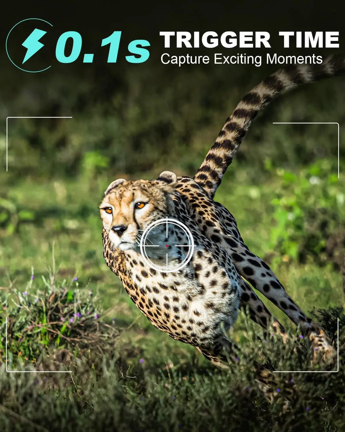 Рисунок 5 - водонепроницаемая камера для наблюдения