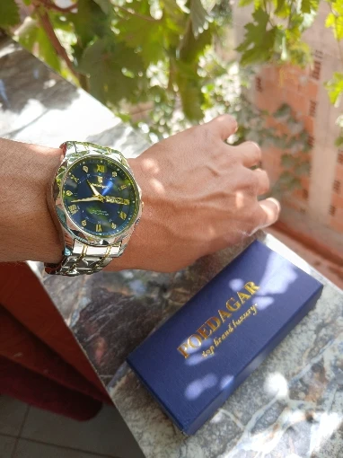 POEDAGAR Luxury Man Wristwatch photo review