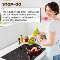 Индукционная варочная панель Hobsir с вилкой, варочная панель с 4 пластинами, индукционная варочная панель 60 см, 3500 Вт, встроенная варочная панель со шлейфом, блокировка от детей — изображение 5