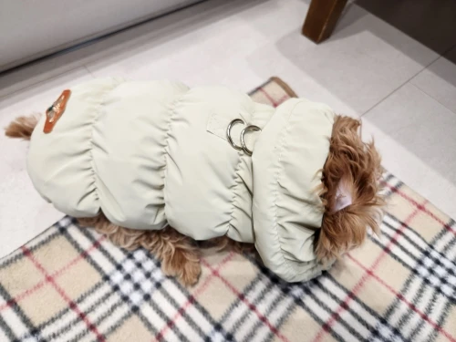 Snug Pup, Soft Winter Jacket for Stylish Small to Medium Breeds photo review