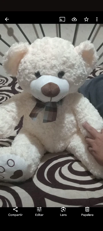 Cute Teddy Bear Plush Pillow photo review