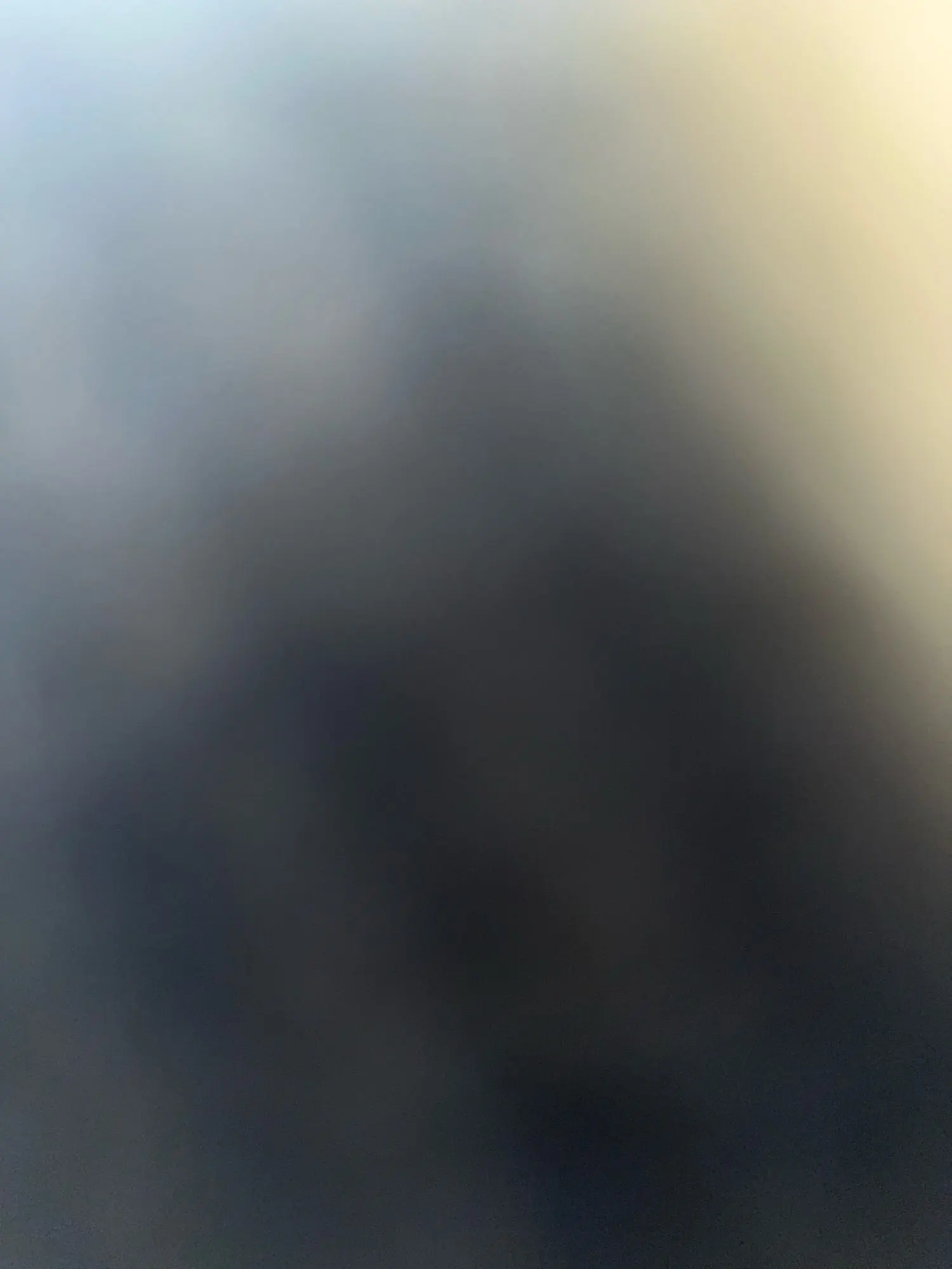 Ailegogo Faux Leather Short Jacket photo review