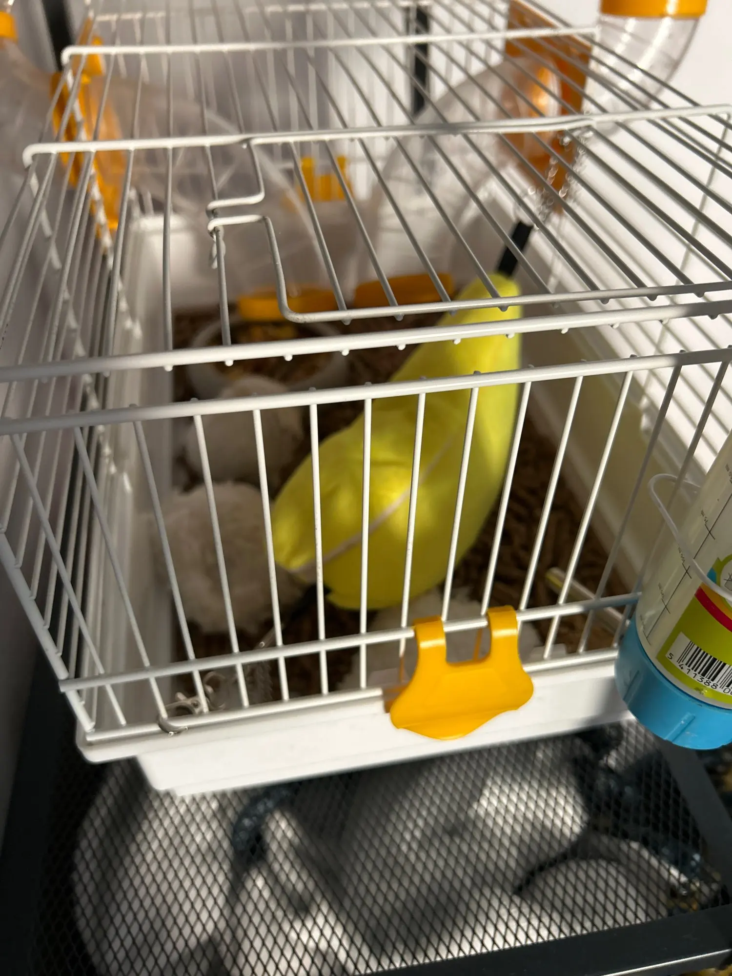 Banana Bungalow, Plush Cotton Hamster Hammock, Cozy Hideaway for Your Furry Friend photo review