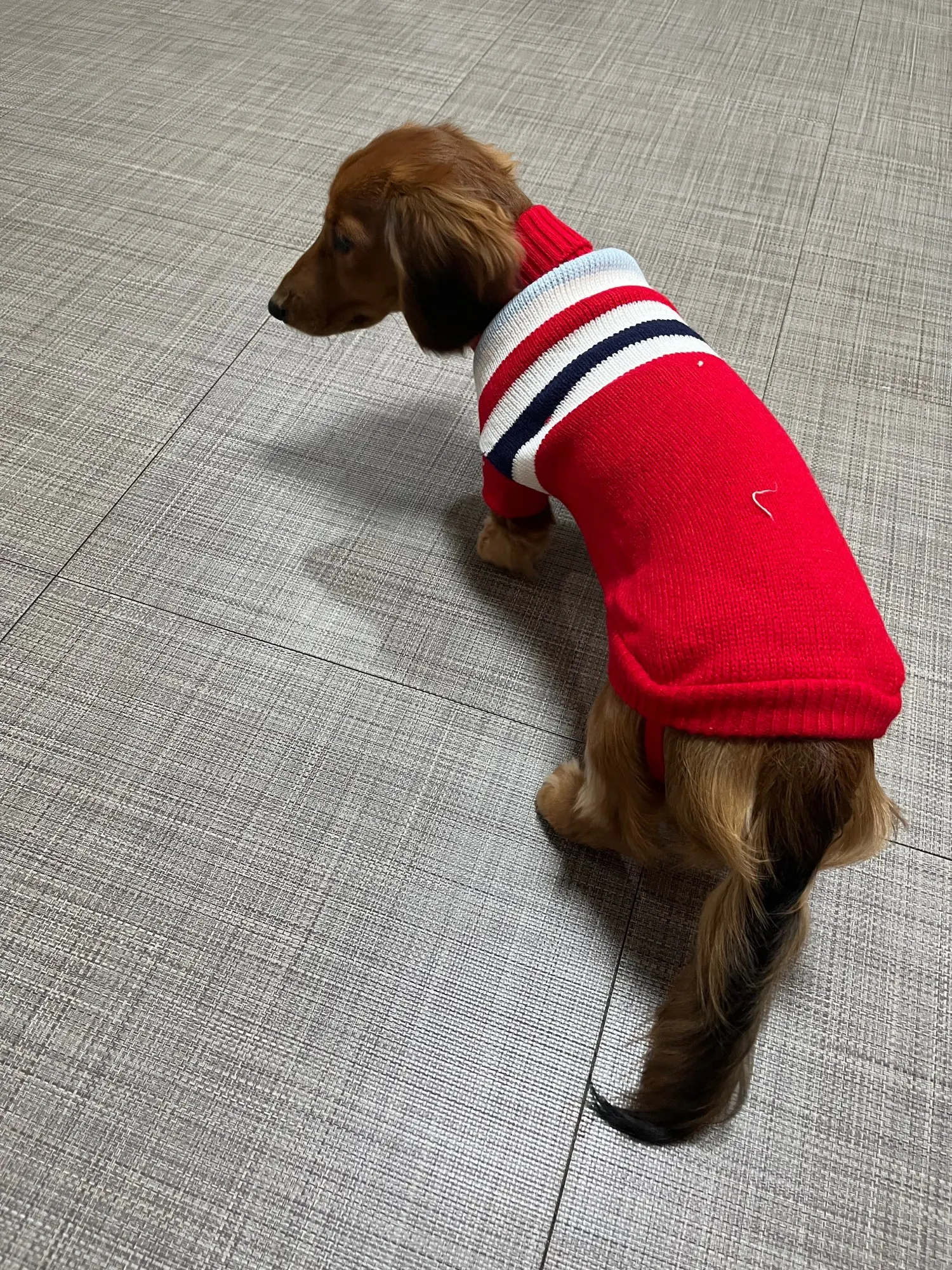 Christmas Cozy Sweater