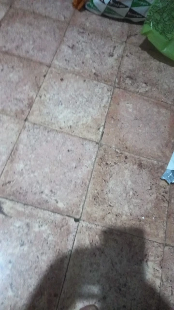 POEDAGAR Luxury Watch For Woman photo review