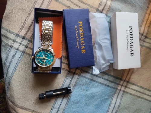 POEDAGAR Luxury Watch for Men photo review