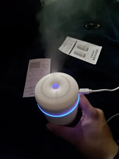 USB Cool Mist Sprayer Portable 300ml