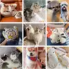 Personalized Photo DIY Pet Cushion Dog Cat Plush Toys Custom Washable Puppy Picture Pillow Memorial Stuffed Animal Birthday gift 5