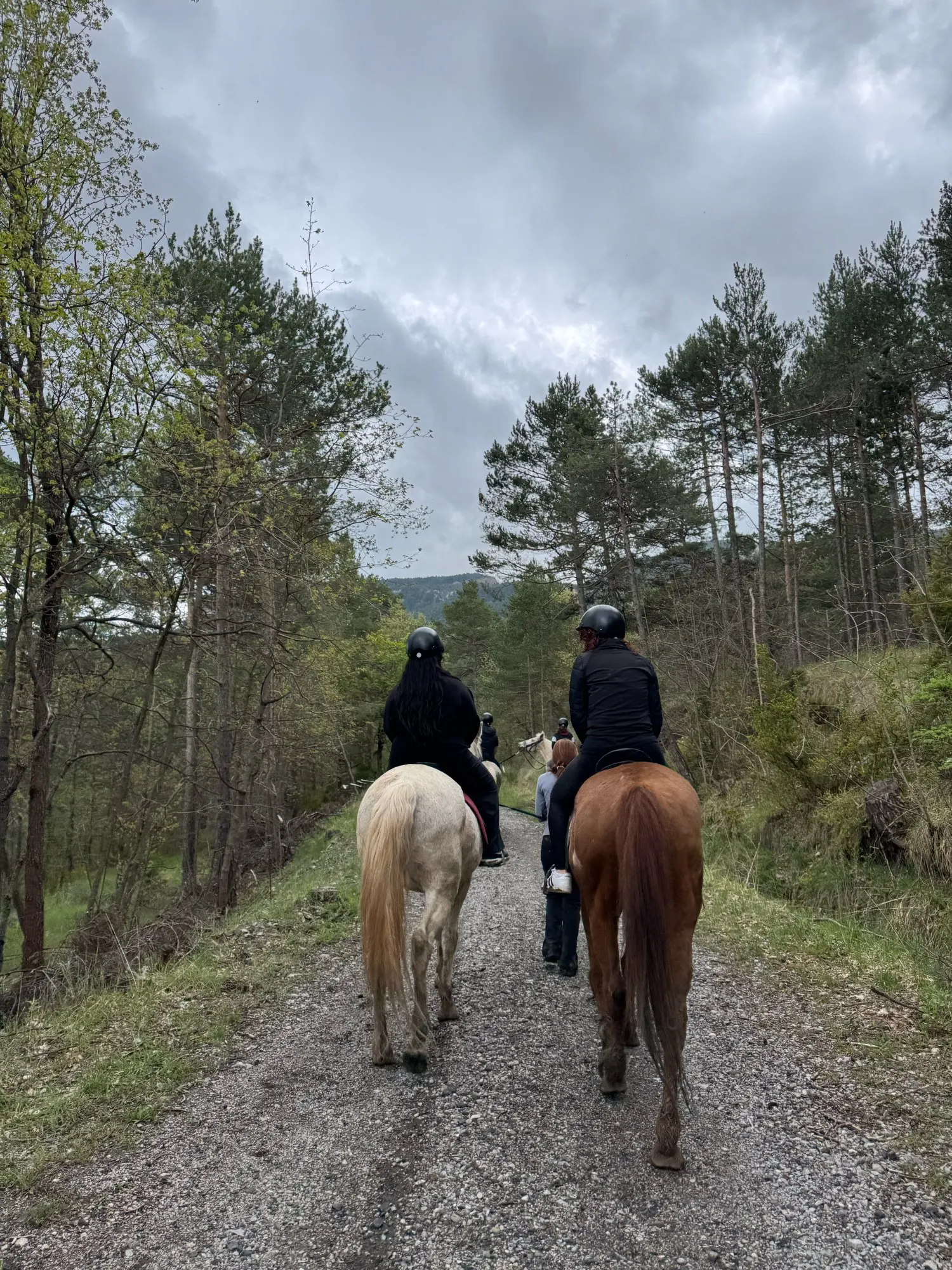 Women's High Waist Tummy Control Yoga Pants photo review