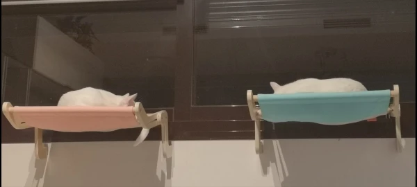 Attachment image review on Androf Cat Bed