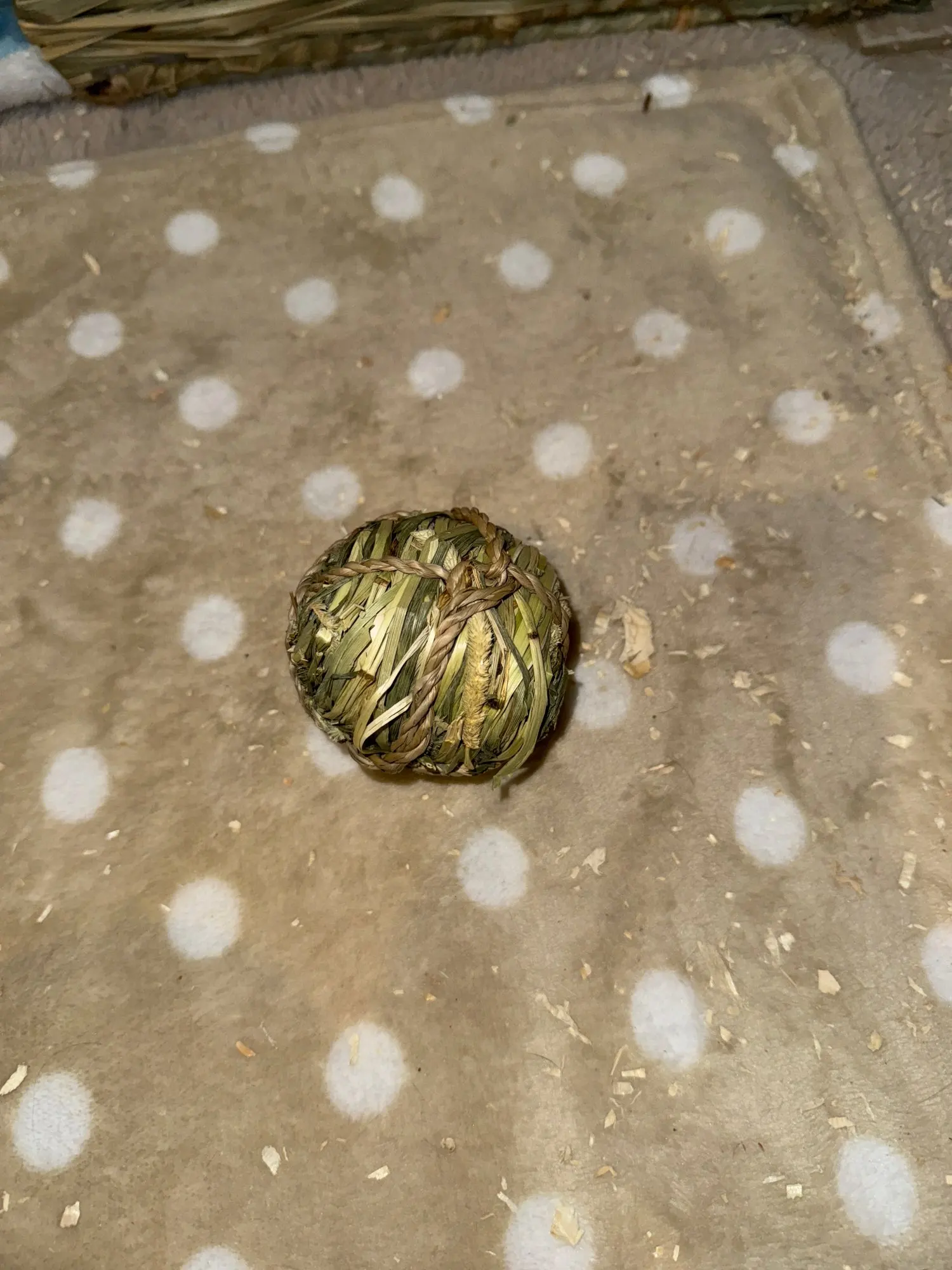 Grassy Fun: 7cm Braided Ball Chew Toy for Small Animals photo review