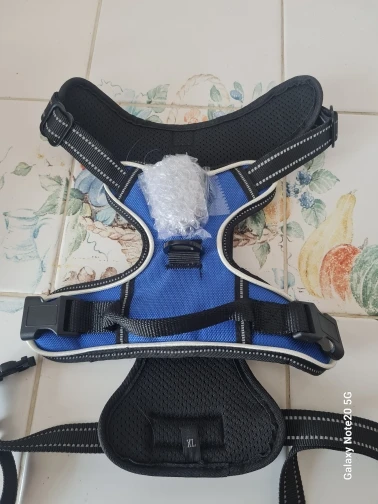 ZampaLux - La pettorina LED ricaricabile per passeggiate sicure e visibili™