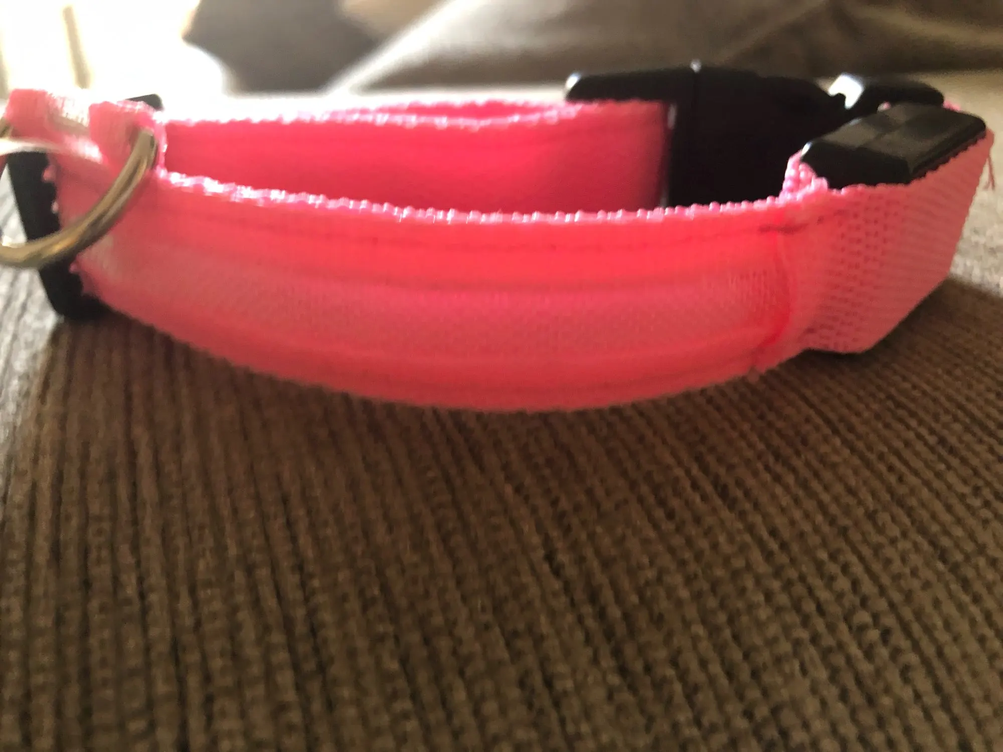 GlowSafe – Leuchtendes Halsband & Leine für maximale Sichtbarkeit bei Nacht photo review