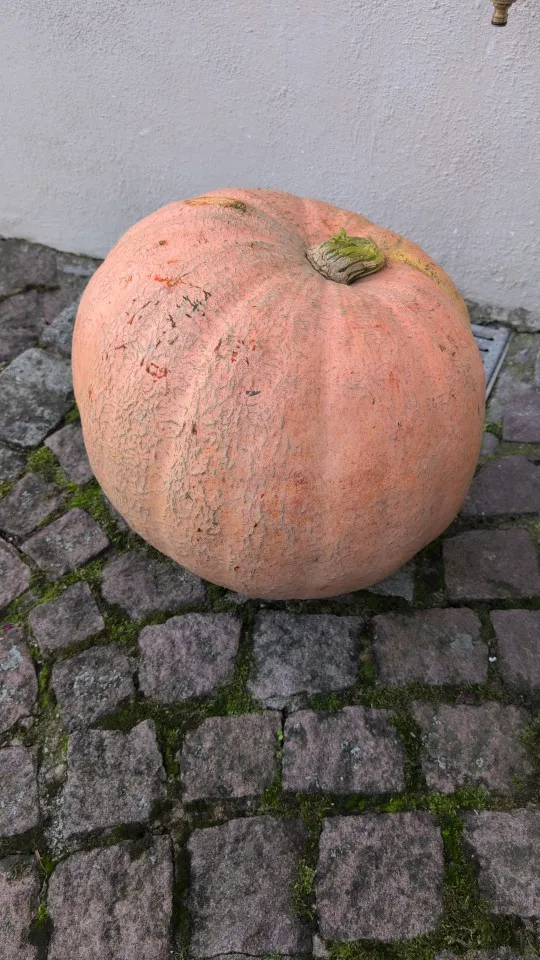 Acrylic 75mm Exterior House Number Outdoor 3 inch Self Adhesive Letters Apartment Door Numbers Mailbox Address Stickers #0-9 photo review