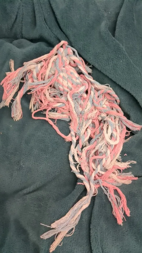 Cartoon Animal Dog Chew Toy, Durable Woven Cotton Rope Toy, Ideal for Grinding Teeth and Cleaning, Ensuring Hours of Safe and Fun Playtime photo review