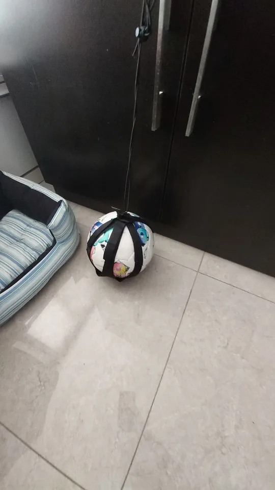 ProKick Fussball-Trainingsgürtel – Perfektes Training für kleine Profis photo review