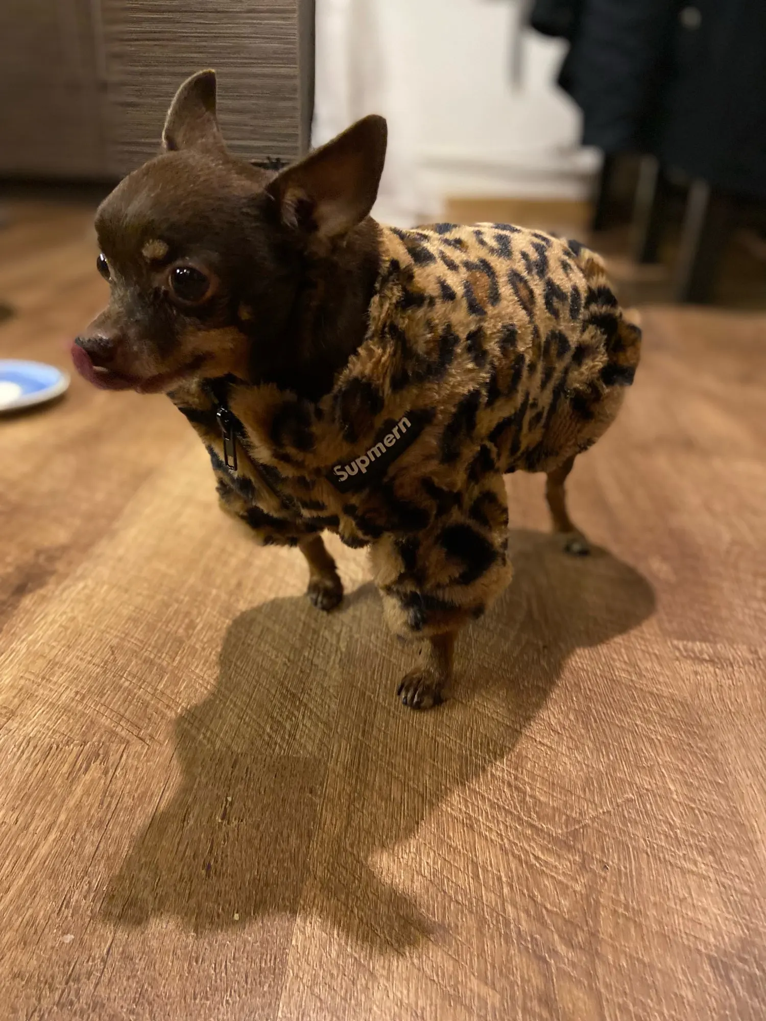 Winter Luxury Fur Coat - Unique Leopard Print photo review