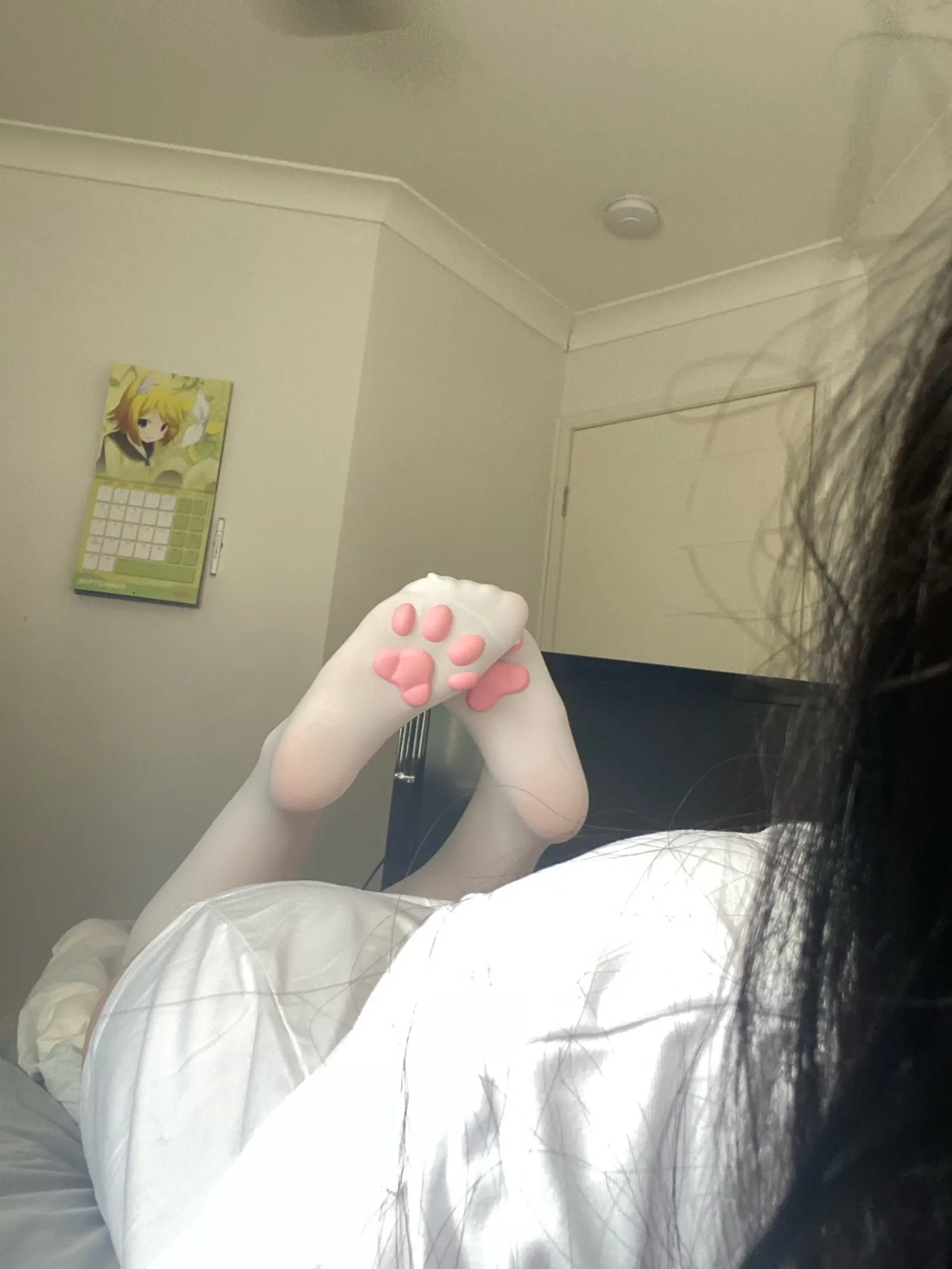 Cat Paw Socks photo review